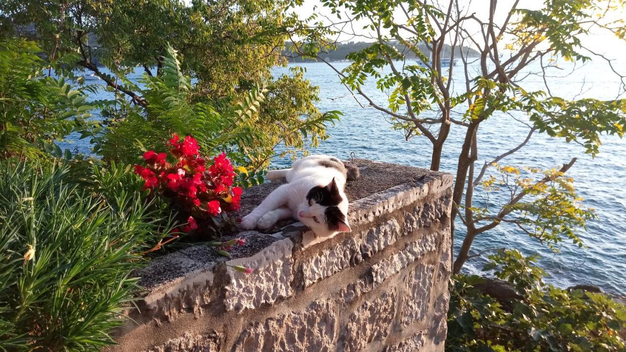 Sea Of Eden Apartment Dubrovnik Exterior foto